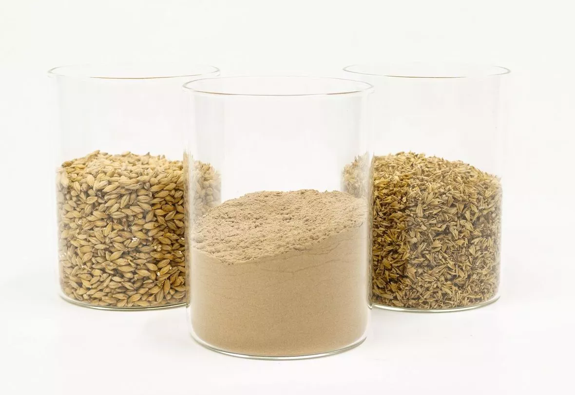 ProSeed receives a FIT loan to transform brewing by-products into food ingredients
